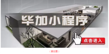 畢加邂逅小“情人”，那就再愛一次吧