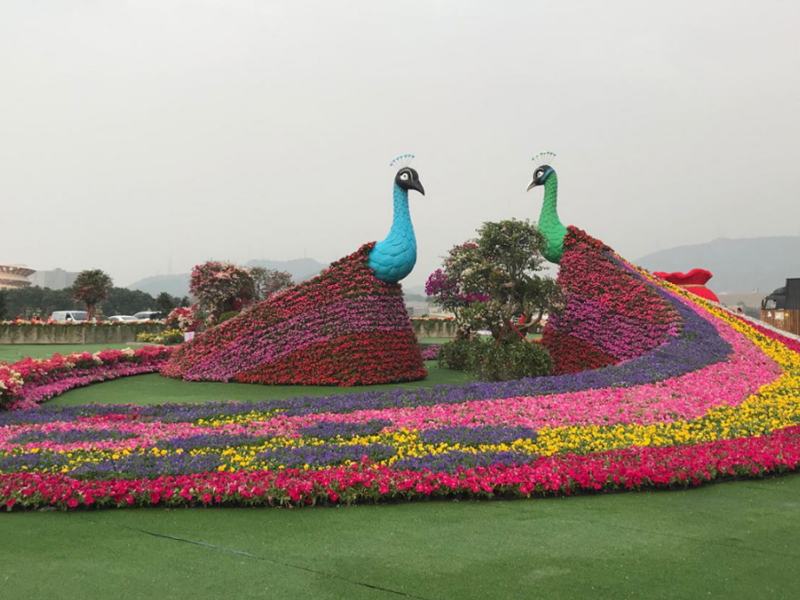 云南錦苑花卉——花展園藝美陳設(shè)計(jì)